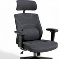 **Ergonomic Office Chair with Adjustable Support and Modern Design**